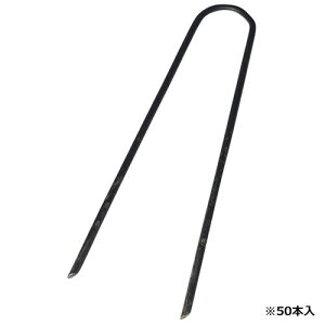 ͓Y yZteB[3 U^s 50P 3.5X20cmzU^s 50{ (4977292664011)