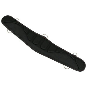 ͓Y ySFS-AIR-SDX-RDzSK11 GA[tBbgT|[gxg (4977292972420)