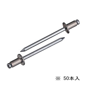 ̓uebNX/Gr yNSA55MPzuChxbg(ۓ) GRpbN A~{fB XeB[}h 50{ (4963202095952)