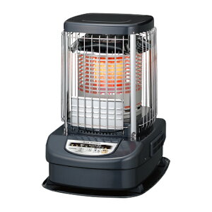 Ri g[@yGH-G12F(A)zu[^bN u[o[i (Ɩp^Cv) S 31p ^N̎