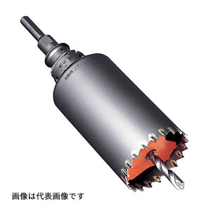 �`�~���i�K/MIYANAGA �yPCSW165R�z�U���p�R�A�h���� S�R�A �Z�b�g SDS�v���X�V�����N �n��a165mm (4957462140071)