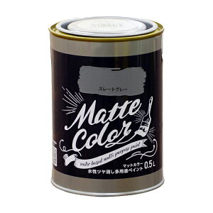 ̓ATqy y469830zcpryCg }bgJ[ 0.5L X[gO[ (4970925469830)