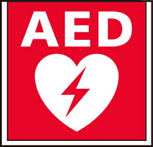 ���p�i�\�j�b�N �Ɩ����yFK20392�z�h�Аݔ��W�����p�l�� AED {B}