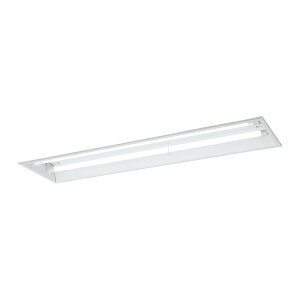 �����p�i�\�j�b�N �Ɩ����yNNFG42991ZLE9�zLDL40×2��퓔 �V�䖄���^ 40�` ����LED�����v�x�[�X���C�g(���p) �oL�p