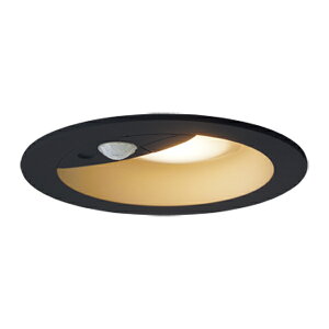 ���p�i�\�j�b�N �Ɩ����yLRDC1141LLE1�z�����p�_�E�����C�g FreePa(�Z���T)���o�}�� �y�A�_���\ �t���b�V�� �h�J 60�`���� �d���F �g�U�}�C���h ��100 {E}