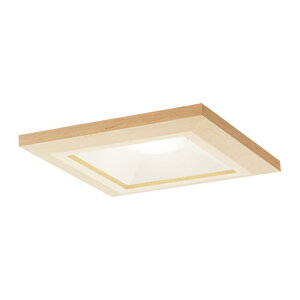 ���p�i�\�j�b�N �Ɩ����yLGD3105VLE1�z�V�䖄���^ LED�i�����F�j �_�E�����C�g ��������100{E}