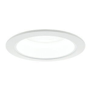 ���p�i�\�j�b�N �Ɩ����yNLN28005W�z�_�E�����C�g 100�`250�` ��75 �g�U 5000K �d�����j�b�g�ʔ� �󒍐��Y {S}