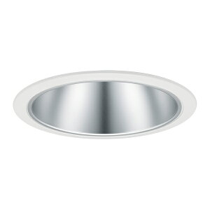 ���p�i�\�j�b�N �Ɩ����yNLN28510S�z�_�E�����C�g 100�`250�` ��125 �L�p 5000K �d�����j�b�g�ʔ� �󒍐��Y {S}