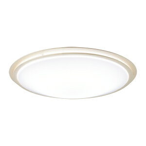 �����p�i�\�j�b�N �Ɩ����yLGC51146K�z�V�[�����O���C�g �����E���F �X�^���_�[�h �\�t�g�^�[������ �J�`�b�gF �`12�� �z���C�g �����R���t {E}