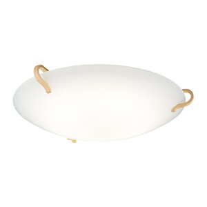 �����p�i�\�j�b�N �Ɩ����yLGC31133K�z�V�[�����O���C�g �����E���F �X�^���_�[�h LINANTH �\�t�g�^�[������ �J�`�b�gF �`8�� �����R���t {E}