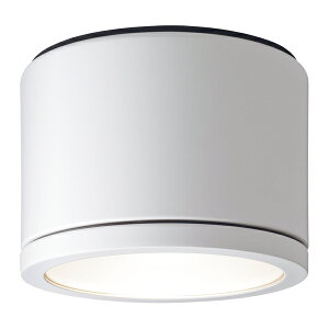 ���p�i�\�j�b�N �Ɩ����yNNN53820WK�z�V�䒼�t�^�@LED �����p�V�[�����O���C�g �h�J�^ �����v�ʔ� {L}