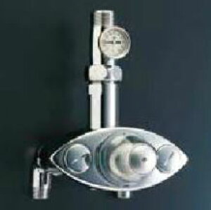 INAX/LIXIL yBF-20TM-25Bz^T[X^bgtou (R1 1/4×R1) IozǗpExvt pubN 󒍖2TkIEl