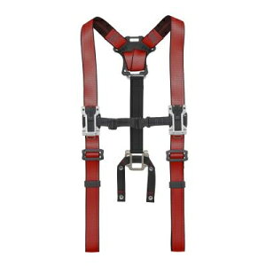 �̓^�W�}/TAJIMA �ySFSAF-RE�z�� �Z�t�T�X�y���_�[A �t���[�T�C�Y (4975364268891)