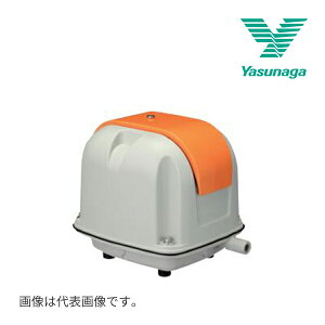 s݌ɂt15oOKIiyAP-40PzdGA[|v (i AP-40)