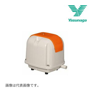 s݌ɂt15oOKIi GA[|vyAP-100Fz