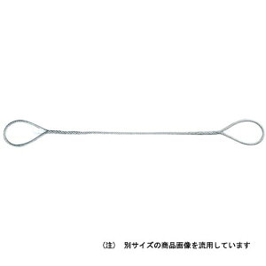 �̓I�[�G�b�`�H�� �yATW6-50�z�ҍ� �ʊ|���C���[ ��6mm���C���[ 5m ���C���[�X�����O (4963360524080)