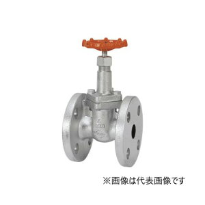 ���m�o����/������ЃL�b�c�y10-DSRF-N 32A�z11/4B �_�N�^�C�� ���S�o���u �Q�[�g�o���u 10K �t�����W�` ���˂��kHF�l