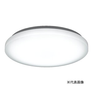 UR[|[V/YAZAWA ƖyCEL06D01SPEzLEDV[OCg F  6p Rt (4966307387564)