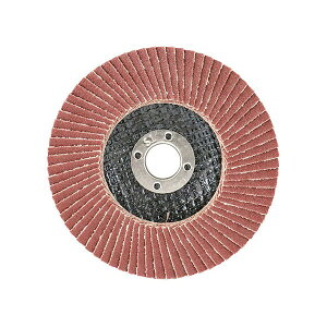 �͓����Y�� �ySSD-A120/10�zSK11 �T���_�[�f�B�X�NA#120 (4977292313728)