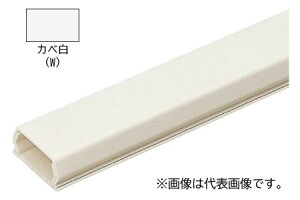 �����H�� �yPML-1WT (10�{��)�z�J�x�� �v�����[�� (�e�[�v�t) 1�� �S��1m
