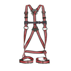 ̓^W}/TAJIMA yAZAM-LREzC MTCY n[lXZA yʃA~obN ڃxg (4975364261298)