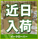 ◆4/20出荷OK!パナソニック 温水洗浄便座 ビューティ・トワレ【CH931SPF】パステルアイボリー (旧品番CH921SPF)