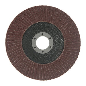 ԌI͓Y ySSD125-A080zSK11 T_[fBXN A#80 (4977292312158)