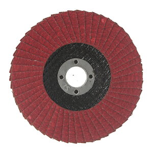 ԌI͓Y ySSD-S080zSK11 T_[fBXN S#80 (4977292312882)