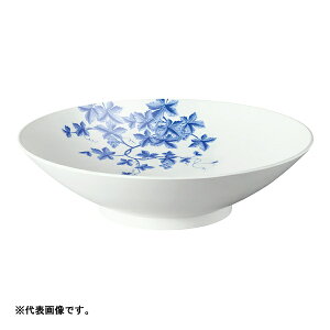 Oh/SANEI yHW1070-101zʊ  LcākFAl