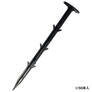 ͓Y yZteB[3 V[g 50P 21cmzV[g 50{ (4977292664219)