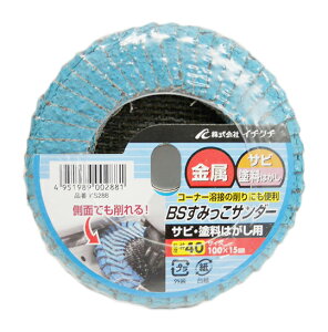 ̓C`O`/ICHIGUCHI yKS288zBS݂T_[ TrEh͂p x#40 (4951989002881)