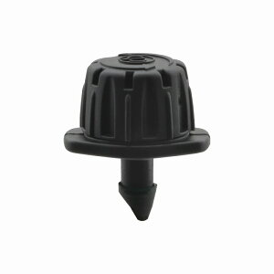 JN_C/GAONA/KIi yGA-QF040z~jXvN[ EH[^[XvCpCvp  U GGkl