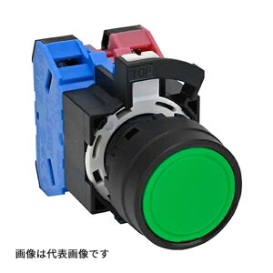 �`�A�C�f�b�N/IDEC �yHW1B-M101G�z��22 HW�V���[�Y ���{�^���X�C�b�` ���` �������^���` 1b�ړ_ �{�^���FG(��)
