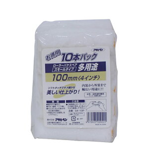 ̓ATqy y209221zpr[[X[10{ S4-10P 100mm (4970925209221)