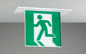  ƖyFBK-42722-LS17zBBHV䖄ʗU {̂̂ {B}