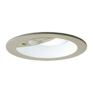 ���p�i�\�j�b�N �Ɩ����yLRDC1145NLE1�z�����p�_�E�����C�g FreePa(�Z���T)���o�}�� �y�A�_���\ �h�J 60�`���� �����F �g�U�}�C���h ��100 {E}