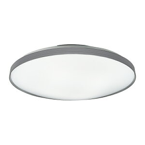 �����p�i�\�j�b�N �Ɩ����yLGC31166�z�V�[�����O���C�g �����E���F �X�^���_�[�h �\�t�g�^�[������ �J�`�b�gF �`8�� �O���[ �����R���t {E}