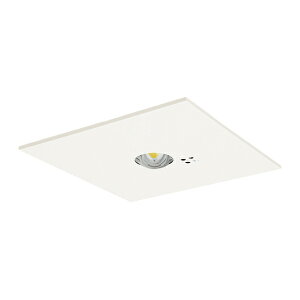 ���p�i�\�j�b�N �Ɩ����yNNFB91625C�zLED���p�Ɩ���� �����^ 30���ԃ^�C�v �����F ��150 ��V��p(�`3m�j �n���Q���d��13�`���� �����R���ʔ� {B}