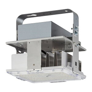 ���p�i�\�j�b�N �Ɩ����yNYM20203LR2�zLED���V��p�Ɩ� DN�V���[�Y���y�^ ���ⓔ700�`���� �����F �g�U ���� ���C�R���ʔ� {L}