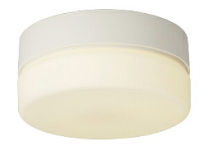 ������ �Ɩ����yLEDTC21688L-LS1�zLED���p�Ɩ���� �ی`�u���P�b�g FCL20�^�C�v �d���F {S2}