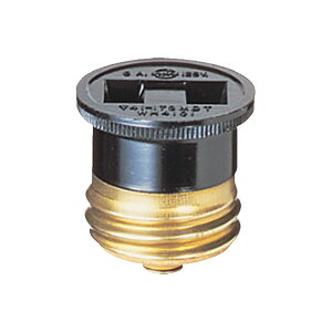 pi\jbN zyWH4101zZp{fB 6A 125V