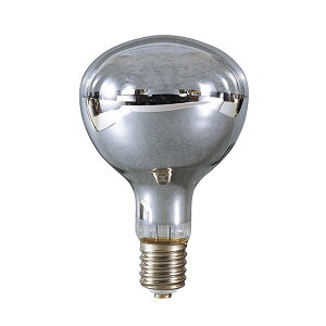 ͓H yNRF-300 110Vzt M300W 110V (Sp) dF E39 (4937305035368)