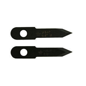 ̓X^[G/STAR-M y36-Kzݐ nCX֐n 21g (4962660360190)