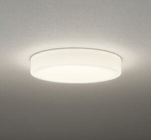 ���I�[�f���b�N/ODELIC �yOL291695LR�z���^�V�[�����O���C�g �����FLED �d���F �񒲌� LED��̌^