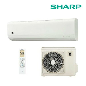 �s�݌ɂ���t��15�����o��OK�I���V���[�v/SHARP ���[���G�A�R���yAY-T22DM W�z�z���C�g 2025�N DM�V���[�Y �P��100V �v���Y�}�N���X�^�[ ���6���p