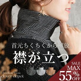 ＜23:59迄55％クーポンで1071円!2点~＞ 即納 首元温活。 付け襟 タートルネック ハイネック タートル つけ襟 つけえり 偽の襟 レイヤード 重ね着 インナー レディース コットン 立ち襟 冷え予防 ネックウォーマー マフラー 黒 白 ボーダー 冬 秋冬 服
