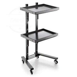 ԗpJ[g ܂肽 LX^[t Lb` bN RpNg[ t h XeX gC ×p ړ֗ ×p [ ړ֗ X e etlC GXe E