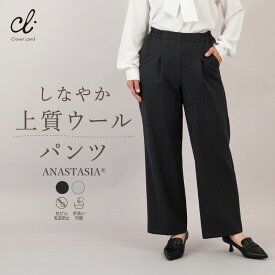 セミワイドパンツ 【ANASTASIAウール混ダブルクロス タック入りセミワイドパンツ】上質ウール あたたか ムレにくい 毛玉防止 裏地付き しわがつきにくい 冬 WP01 日本製