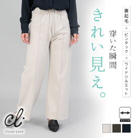 【20％OFF！】ワイドパンツ レディース 裏起毛 両面起毛 暖パン 暖かい 秋冬 ボトムス 通勤 オフィス カジュアル ストレッチ 体型カバー 美脚 きれいめ ストレスフリー ウエストゴム スボン 日本製 M L LL【CL-PW025】