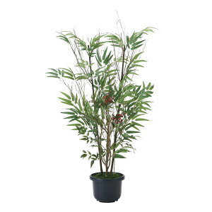 s|Eou[tsA[gO[tslHϗtAtG}@̊y@|V1D0(FVR|)